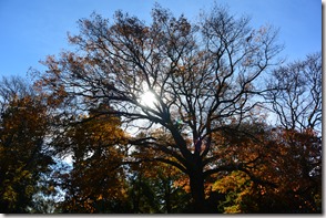 Weltreise 2013 - Neuseeland 043