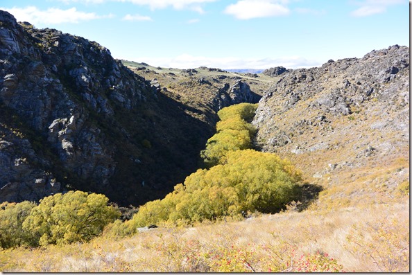 Weltreise 2013 - Neuseeland 044