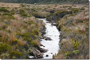 Weltreise 2013 - Neuseeland 046