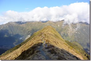 Weltreise 2013 - Neuseeland 046