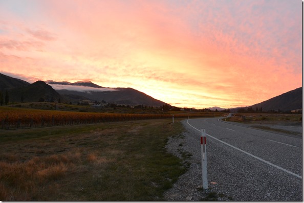 Weltreise 2013 - Neuseeland 048