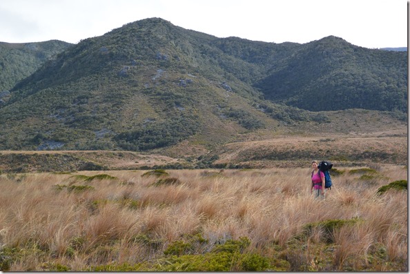Weltreise 2013 - Neuseeland 049