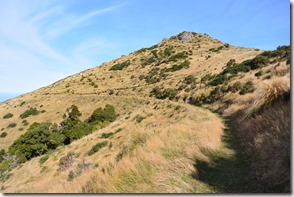 Weltreise 2013 - Neuseeland 051