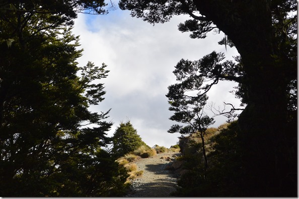 Weltreise 2013 - Neuseeland 053