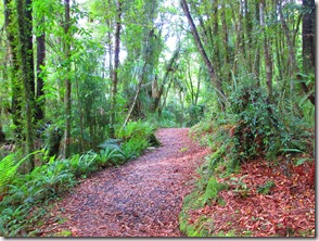 Weltreise 2013 - Neuseeland 056