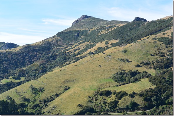 Weltreise 2013 - Neuseeland 058