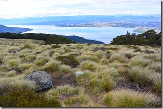 Weltreise 2013 - Neuseeland 062