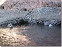 Weltreise 2013 - Neuseeland 063