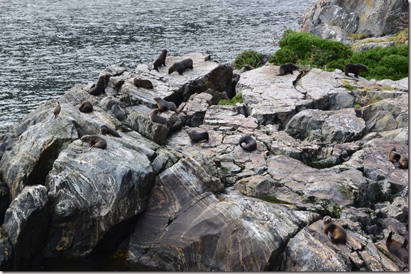 Weltreise 2013 - Neuseeland 065