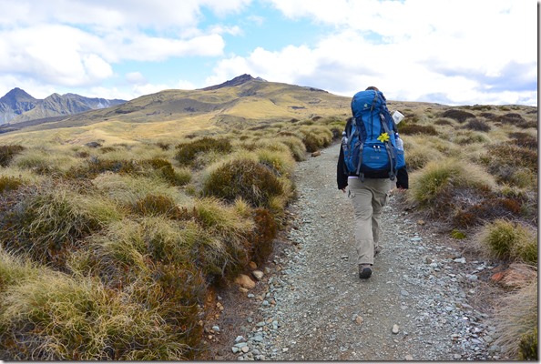 Weltreise 2013 - Neuseeland 067