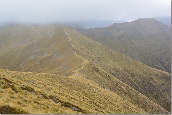 Weltreise 2013 - Neuseeland 068