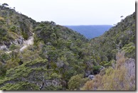 Weltreise 2013 - Neuseeland 069