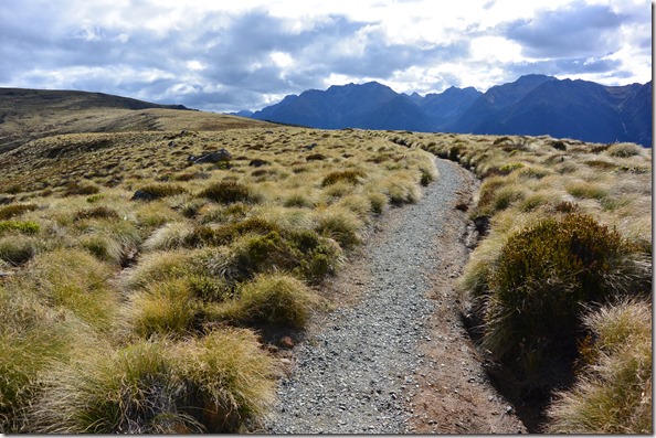 Weltreise 2013 - Neuseeland 075