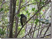 Weltreise 2013 - Neuseeland 078