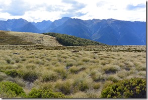 Weltreise 2013 - Neuseeland 079