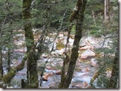 Weltreise 2013 - Neuseeland 080