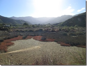 Weltreise 2013 - Neuseeland 081