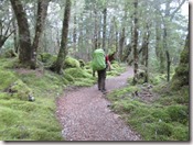 Weltreise 2013 - Neuseeland 082