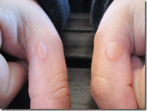 Weltreise 2013 - Neuseeland 085