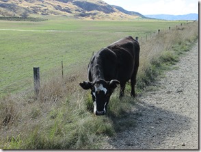 Weltreise 2013 - Neuseeland 085