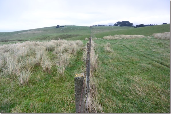 Weltreise 2013 - Neuseeland 085