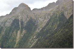 Weltreise 2013 - Neuseeland 086