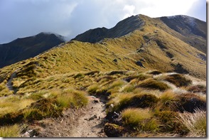 Weltreise 2013 - Neuseeland 090