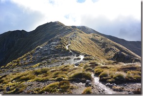 Weltreise 2013 - Neuseeland 093