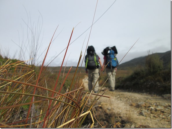 Weltreise 2013 - Neuseeland 096