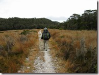 Weltreise 2013 - Neuseeland 102