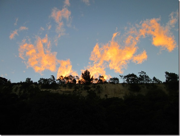 Weltreise 2013 - Neuseeland 103