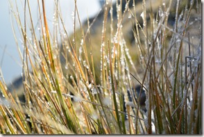 Weltreise 2013 - Neuseeland 104