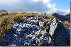 Weltreise 2013 - Neuseeland 105