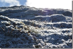 Weltreise 2013 - Neuseeland 108