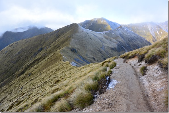 Weltreise 2013 - Neuseeland 129