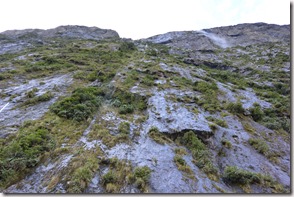 Weltreise 2013 - Neuseeland 164