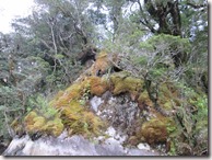 Weltreise 2013 - Neuseeland 165