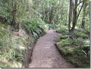 Weltreise 2013 - Neuseeland 174