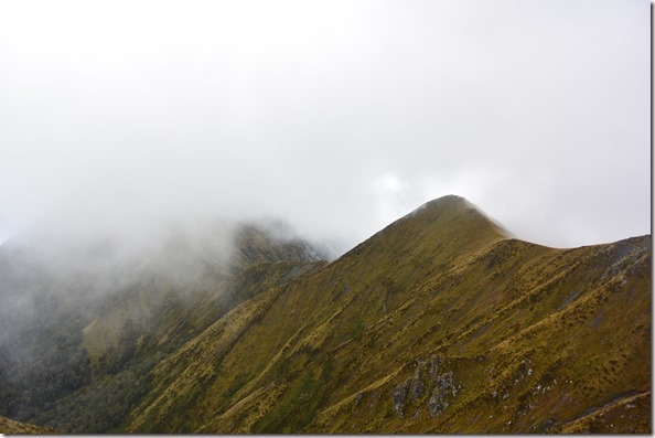 Weltreise 2013 - Neuseeland 205