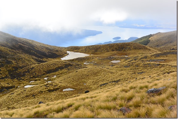 Weltreise 2013 - Neuseeland 208