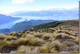 Weltreise 2013 - Neuseeland 216