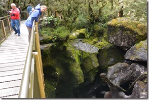 Weltreise 2013 - Neuseeland 253