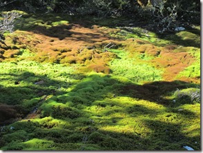 Weltreise 2013 - Neuseeland 265