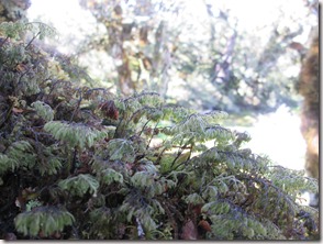 Weltreise 2013 - Neuseeland 267