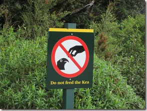 Weltreise 2013 - Neuseeland 413