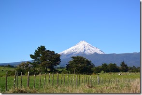 Weltreise 2013 - Neuseeland 007