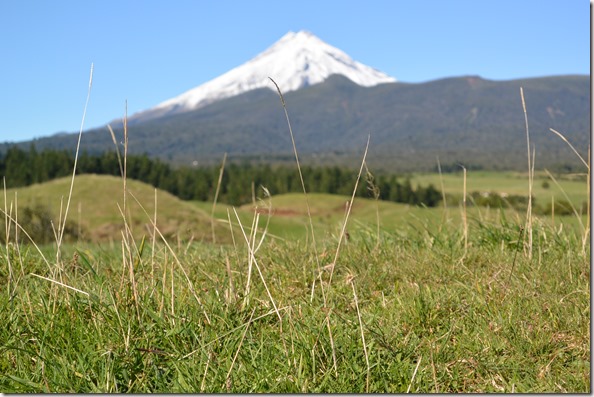 Weltreise 2013 - Neuseeland 019