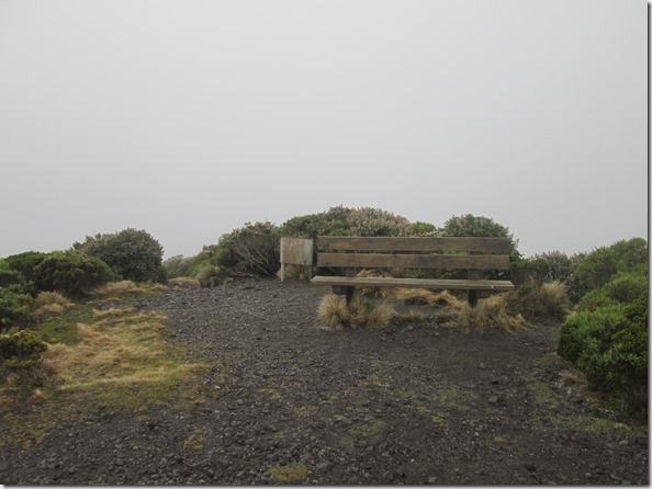 Weltreise 2013 - Neuseeland 041