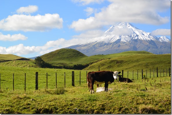 Weltreise 2013 - Neuseeland 048