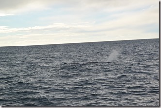 Weltreise 2013 - Neuseeland 083